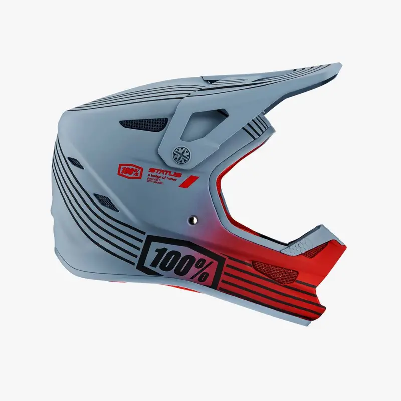 100% Status Helmet - Caltec/Gray 1