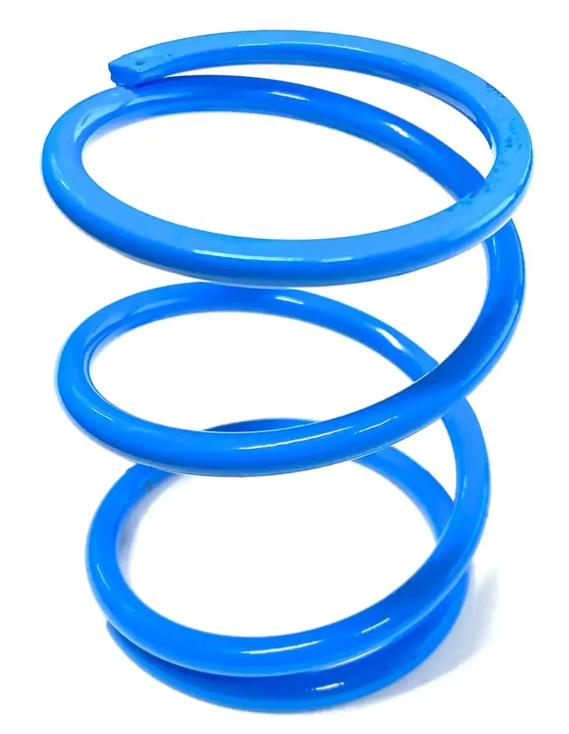 Aftermarket Assassins '16-'22 Polaris Rzr Turbo & Rs1 Primary Springs 1