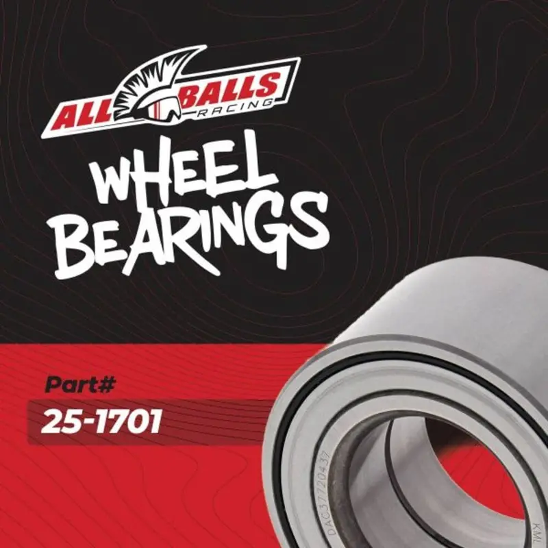 All Balls Racing Honda Pioneer Wheel Bearing Kit - 25-1701 2