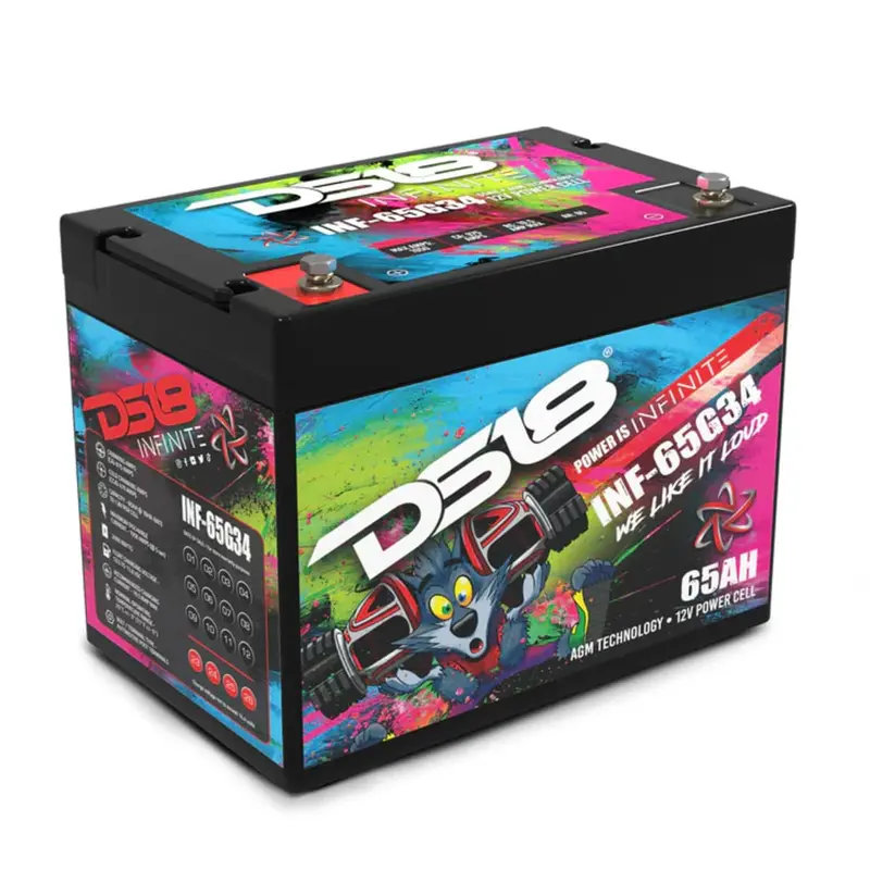 Ds18 Infinite 65 Ah 2000 Watts Agm Group 34 Power Cell 12 Volt Battery 1