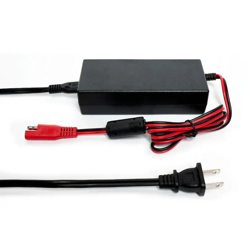 Ecoxgear Soundextreme Ac To Dc Home Power Supply - 10 Amp 1