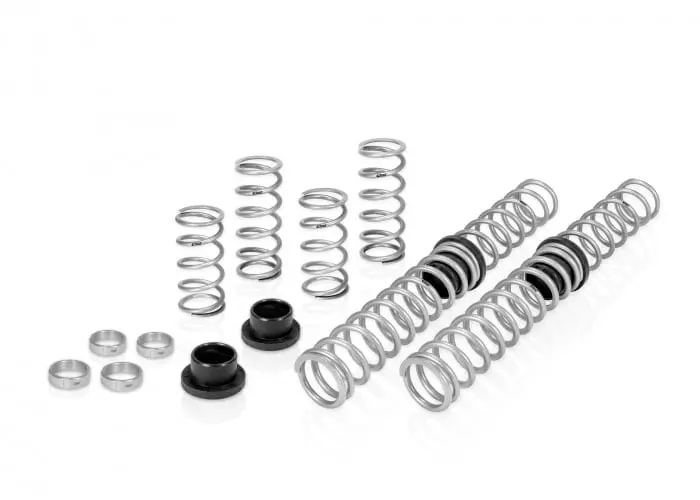 Eibach Stage 2 Performance Spring System For Rzr Rs1 Base With Walker Evans (2018-2020) 1