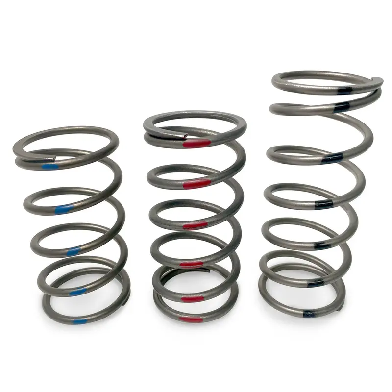 Evo Tapp Primary Clutch Springs 1