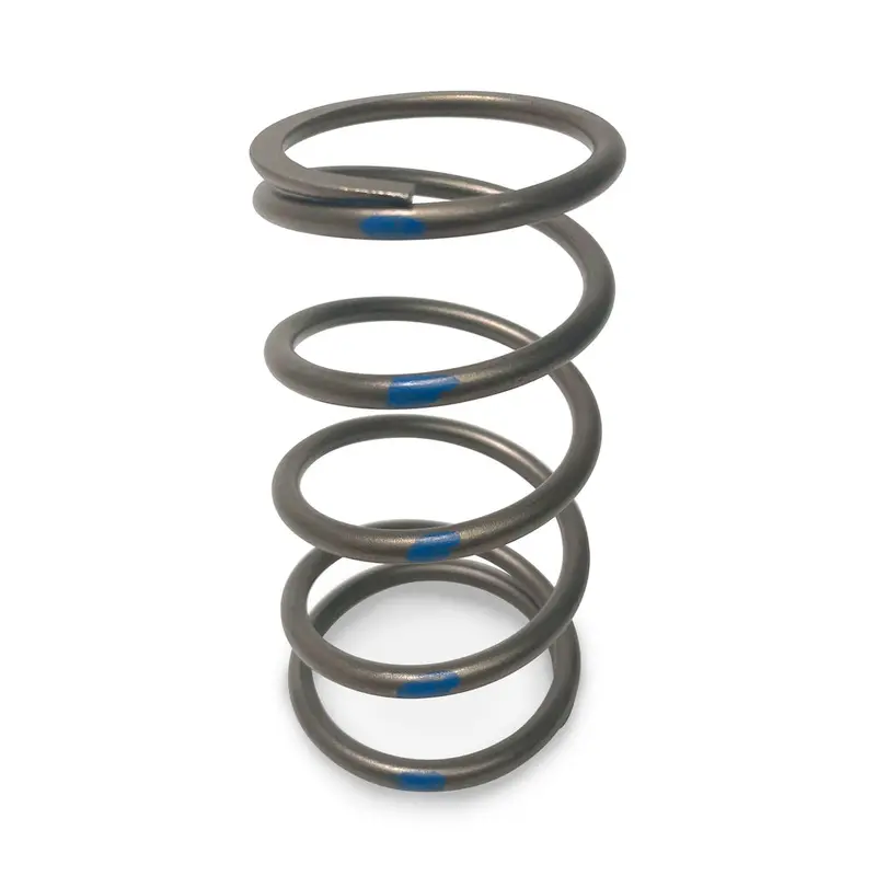 Evo Tapp Primary Clutch Springs 2