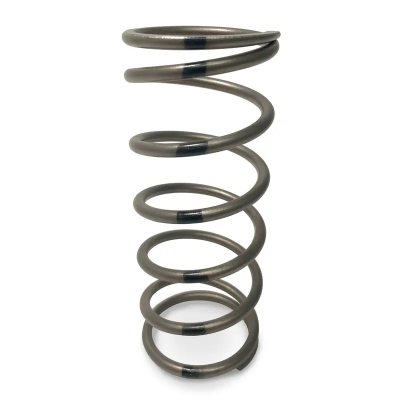 Evo Tapp Primary Clutch Springs 3