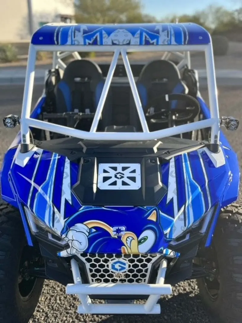 Geiser Performance Polaris Rzr 200 Cage 1