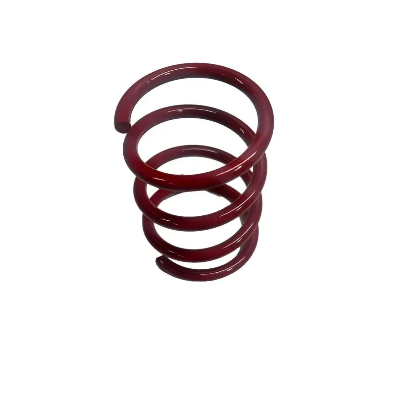 Ibexx P-Drive Shift Spring 1
