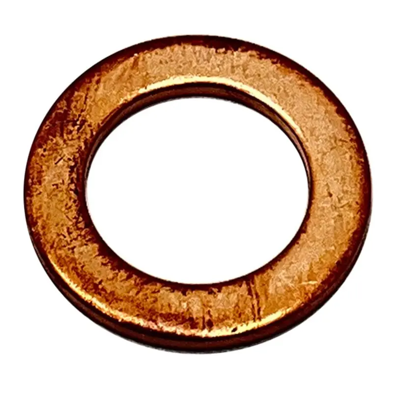 Polaris Copper Washer 2