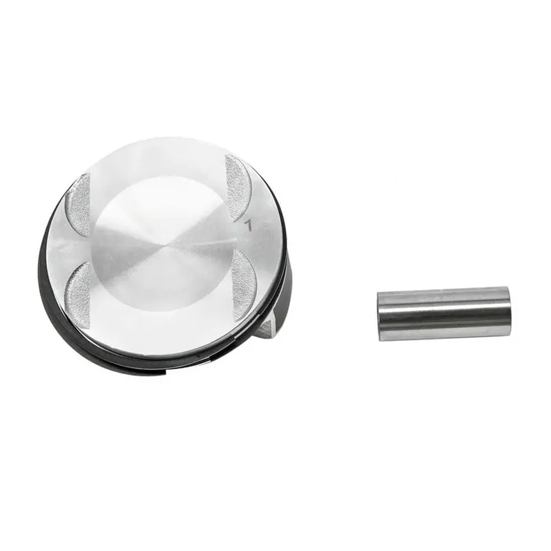 Polaris Piston Kit 1