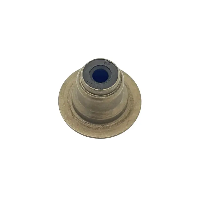 Polaris Valve Spring Seat With Seal 1