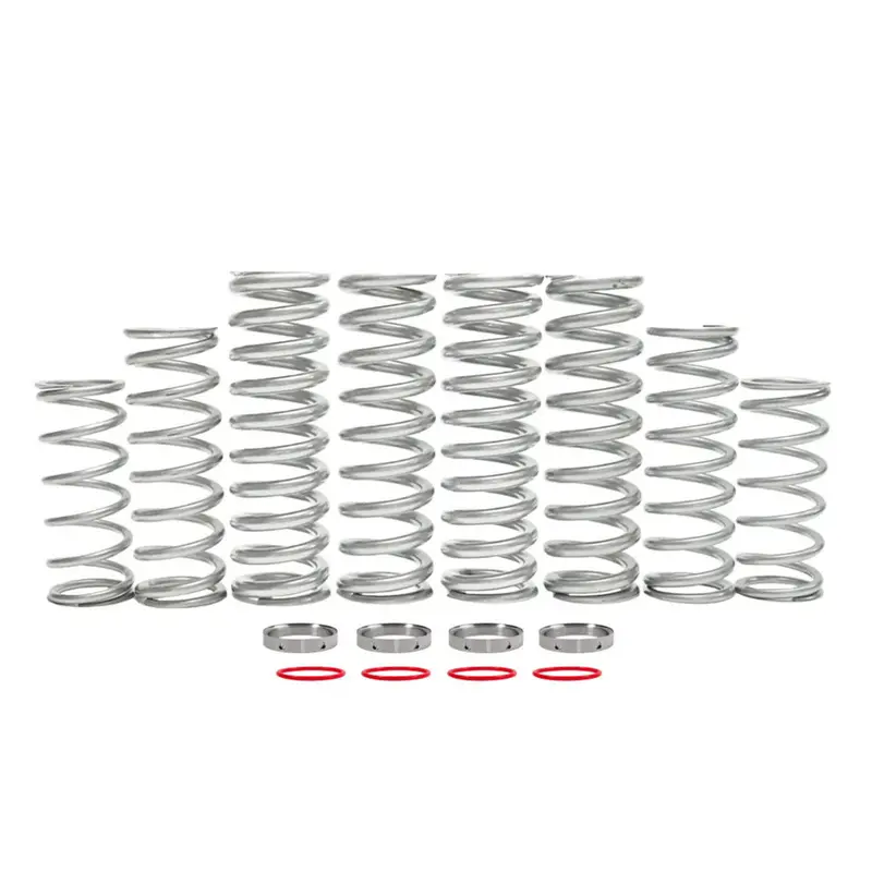 Shock Therapy '24+ Polaris Rzr Xp Dual Rate Spring Kit 1