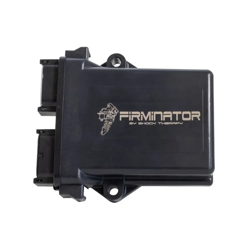 Shock Therapy Firminator 1