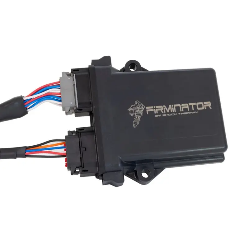 Shock Therapy Firminator 2