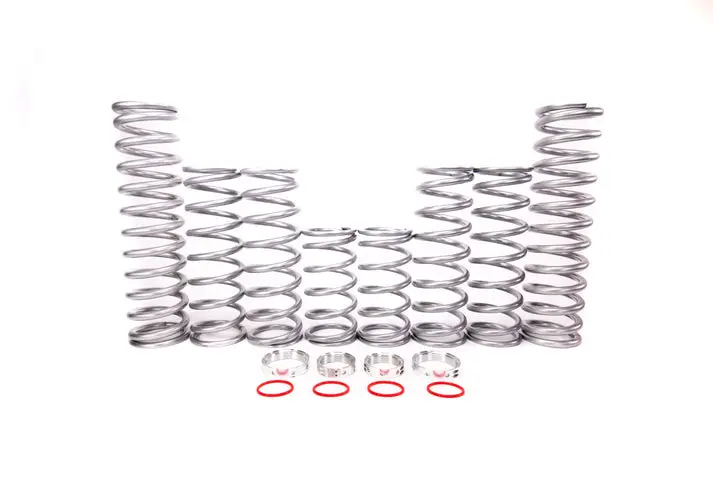 Shock Therapy Polaris General Xp 1000 Dual Rate Spring Kit 1