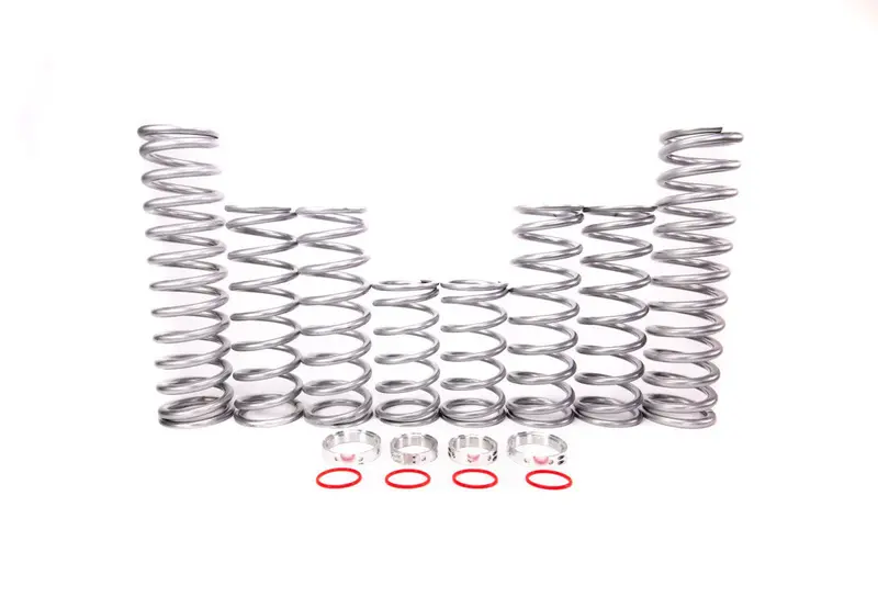 Shock Therapy Polaris Rzr Rs1 Dual Rate Spring Kit 1