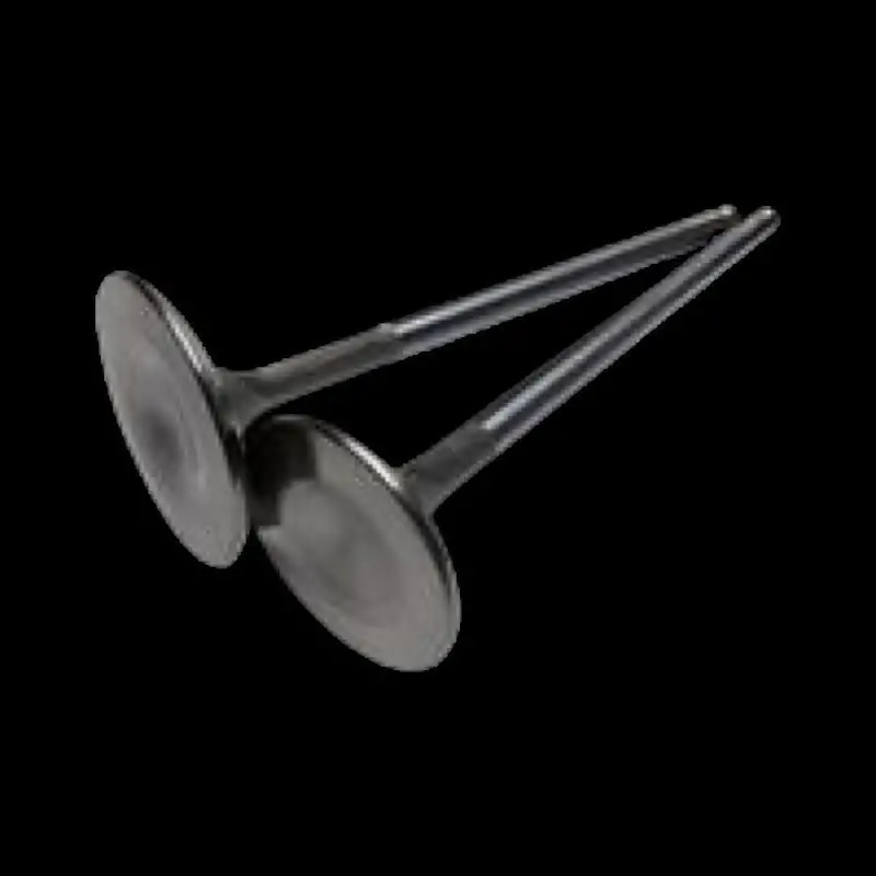 Tpr Industry Rzr Bc Steel Intake Valves (+1Mm) 1
