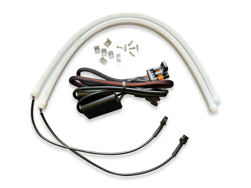 Wd Electronics Kawasaki Ridge - Sequential Turn Signal Kit 1