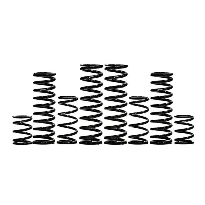 Zbroz Can-Am Maverick X3 Base Model 2.5" Stage 1 Spring Kit 1